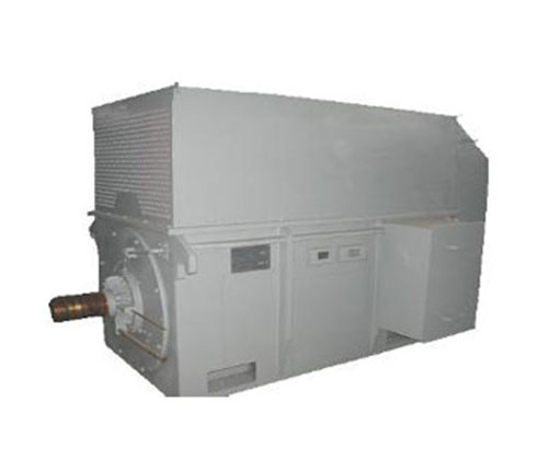 Y系列低壓大功率三相異步電動機